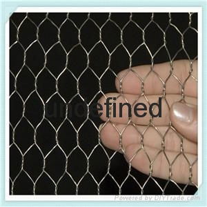 Chicken wire   Galvanized Hexagonal Wire Netting 5