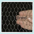 Chicken wire   Galvanized Hexagonal Wire Netting