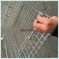 Stainless steel Disinfection wire baskets for Medical 3