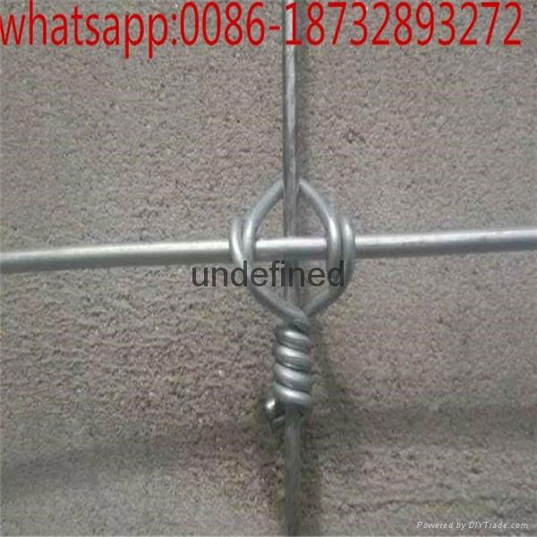 7ft height hot-dipped galvanized deer fence mesh really factory 2