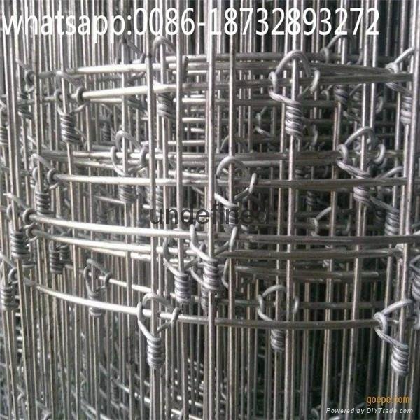 7ft height hot-dipped galvanized deer fence mesh really factory 3
