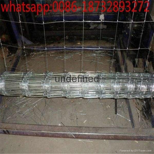 7ft height hot-dipped galvanized deer fence mesh really factory 5