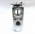 AUTO AC Expansion Valve CAR AC Expansion Valve 