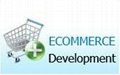 Highly qualified  E-commerce website