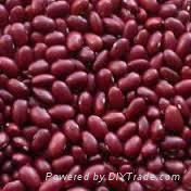 Red Kidney Beans