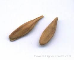 Strophanthus seeds