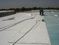 TPO Waterproof Membrane for Roofing 2