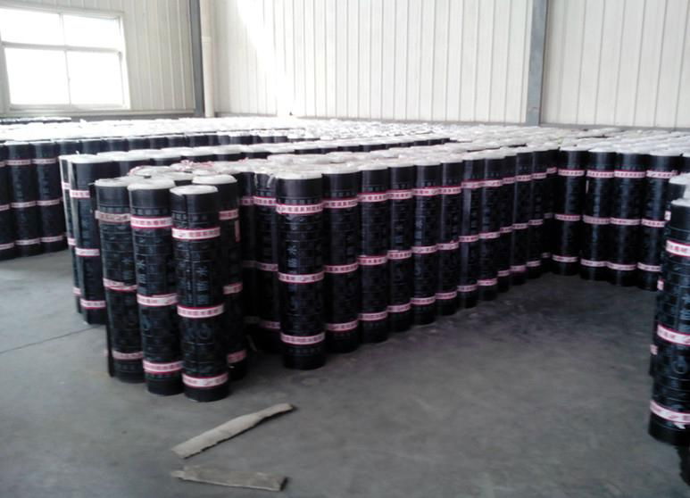 SBS/APP Modified Bitumen Waterproof Material 3