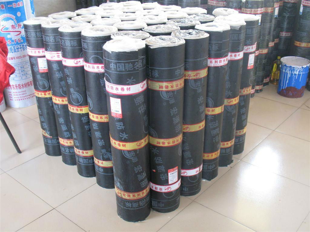 SBS/APP Modified Bitumen Waterproof Material 5