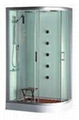 Acrylic Tempered Glass Steam Shower (TS7020) 1