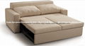 Electric Sofa Bed  1