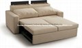 Electric Sofa Bed  2