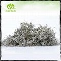 Organic finest keep fit tea leaves famous Moyeam herbal tea 1