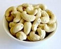 Good Quality Cashew Nuts Available