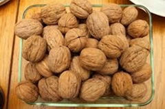 Good Quality Walnuts Available