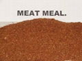 Bone and Meat meal (MBM) 50%min (factory