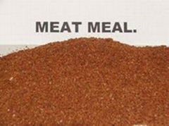 Bone and Meat meal (MBM) 50%min (factory supply animal feed additive)