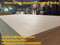 IICL container plywood flooring  5