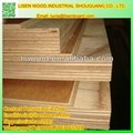 Apitong 28mm keruing container flooring 19 ply floorboards 2