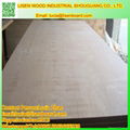 Apitong 28mm keruing container flooring 19 ply floorboards 5