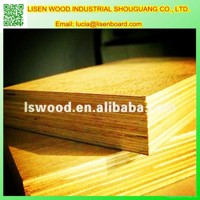28mm container flooring made from lisen wood in China