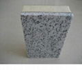 Nature Stone Decorative Insulation Board 1