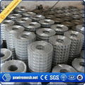 304 Stainless Steel Welded Wire Mesh 2