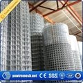304 Stainless Steel Welded Wire Mesh 5