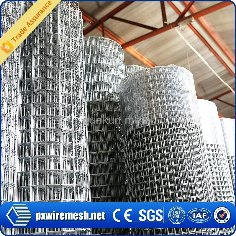 Welded wire mesh 2