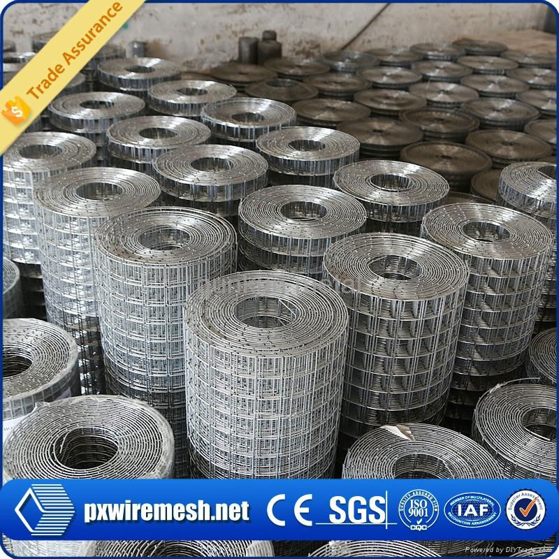 Welded wire mesh 3