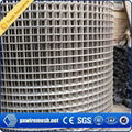 galvanized Welded wire mesh 1