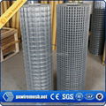 galvanized Welded wire mesh 4