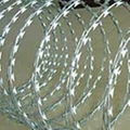 Concertina Wire