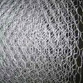 Hexagonal Wire Mesh