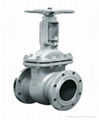 Ductile Iron Non-Rising Resilient Gate Valve 2