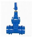 Ductile Iron Non-Rising Resilient Gate Valve 3