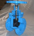 Ductile Iron Non-Rising Resilient Gate Valve 5