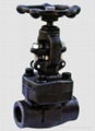 Female Thread Bolted Bonnet type Gate Valve