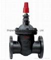 Cast Iron Nf Gate Valve 1