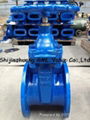 Cast Iron Nf Gate Valve 4