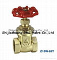 Brass Gate Valve with ANSI DIN JIS Ks