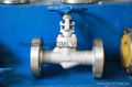 ANSI 150lb Cast Steel Gate Valve with API 6D 2