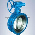 Worm Gear Eccentric Butterfly Valve 3