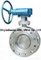 Worm Gear Eccentric Butterfly Valve 1