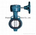 Flanged Center Line Butterfly Valve 4