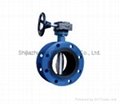 Flanged Center Line Butterfly Valve 2