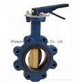 Flanged Center Line Butterfly Valve 5