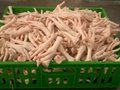 High Quality Processed Frozen Chicken Feet and Chicken Paws 1
