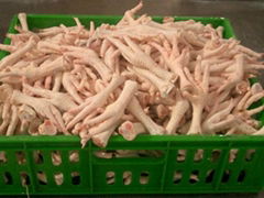 High Quality Processed Frozen Chicken Feet and Chicken Paws