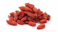 Goji berry